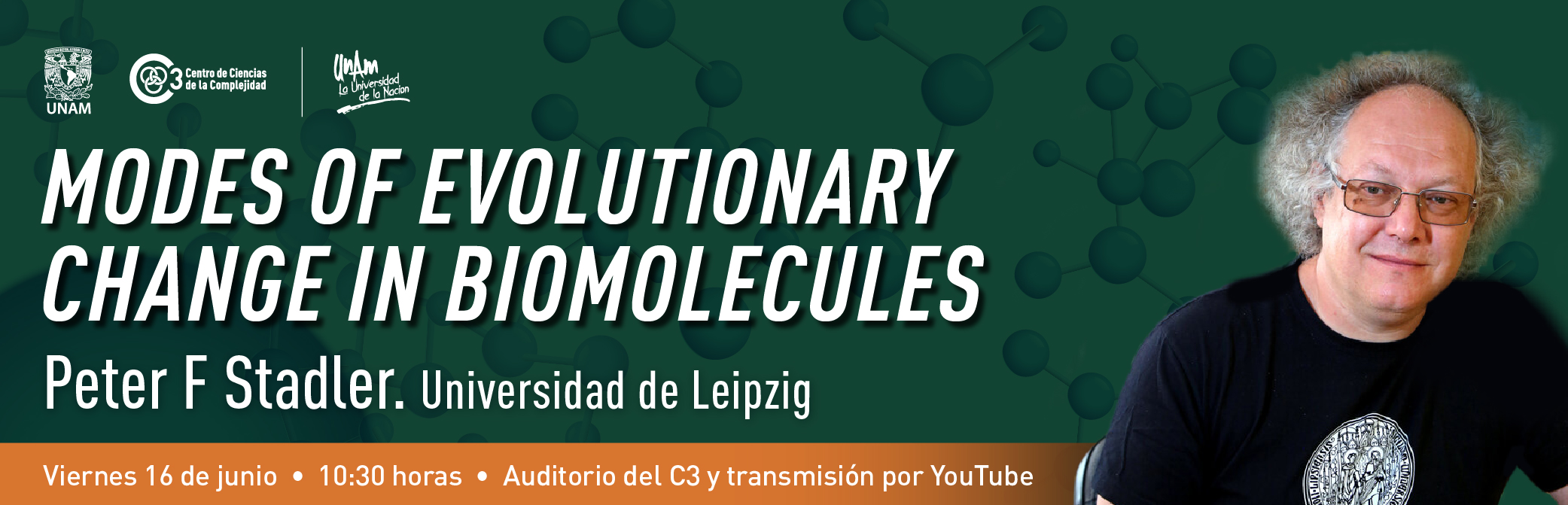 Modes of evolutionary change in Biomolecules