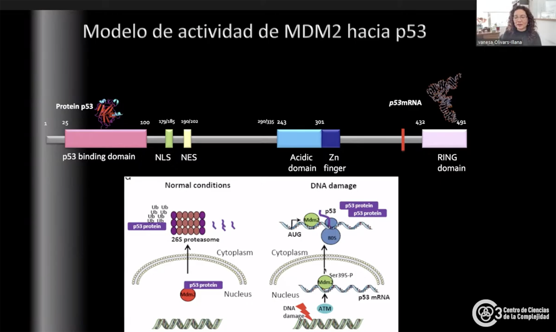 Noticia 263