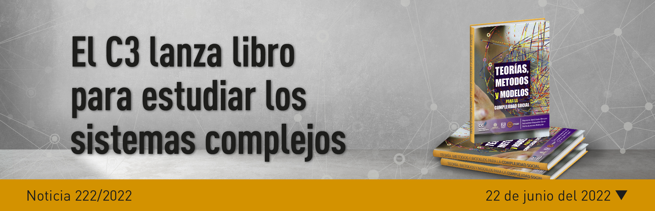 Noticia 221