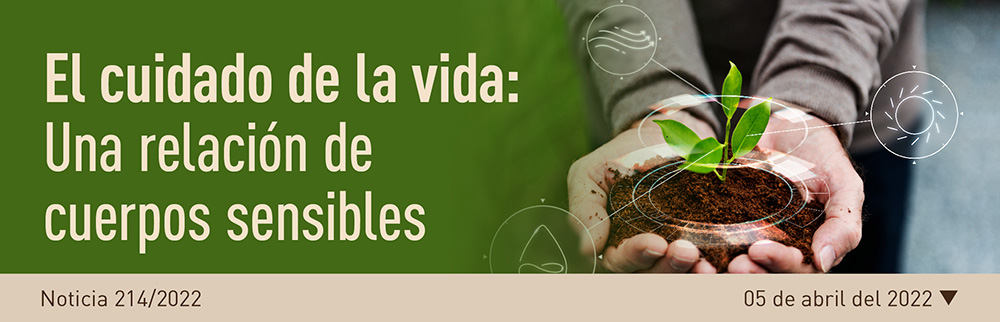Noticia 212