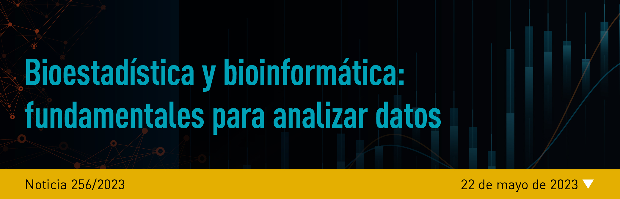 Noticia 255