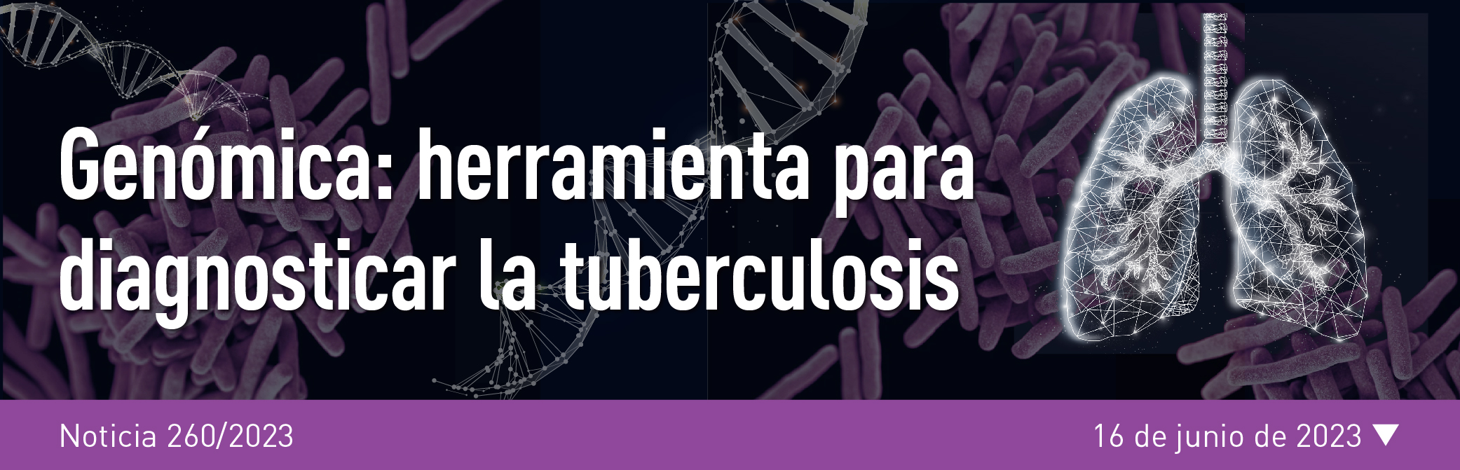 Noticia 260
