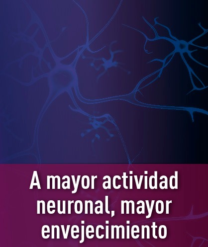 Noticia 203