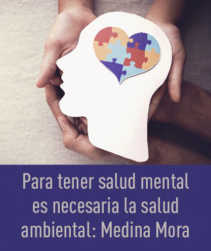 Noticia 232
