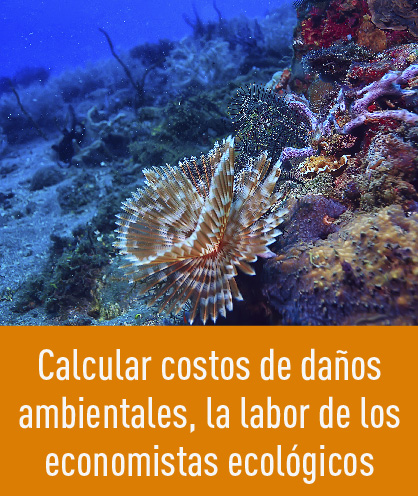 Noticia 239