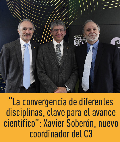 Noticia 242