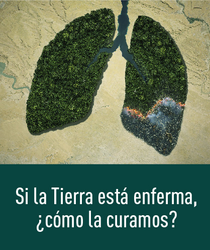 Noticia 244