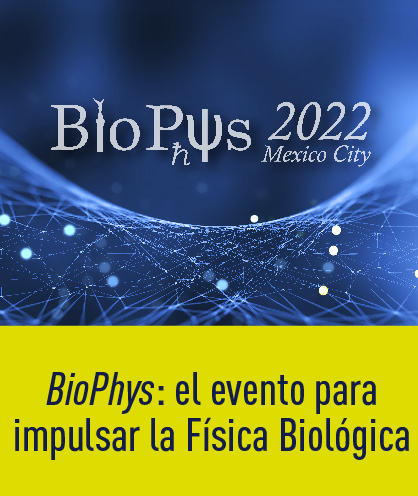 Noticia 245