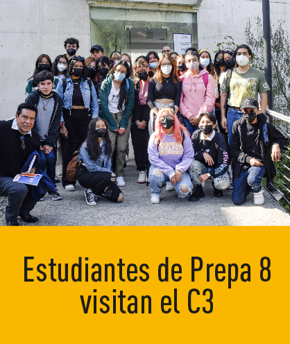 Noticia 247