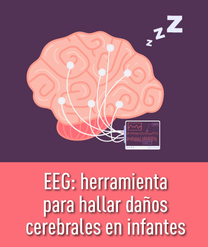 Noticia 252