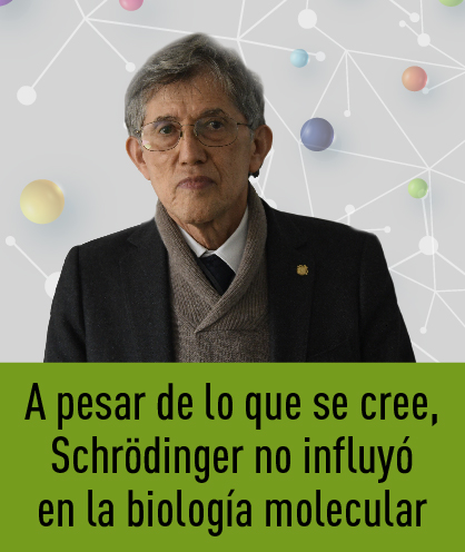 Noticia 256
