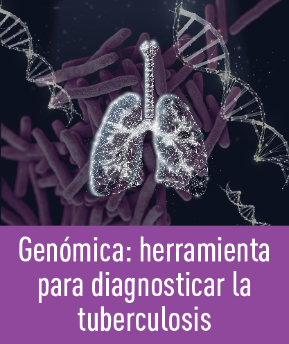 Noticia 260