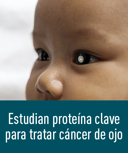 Noticia 263