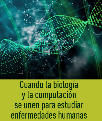 Noticia 267