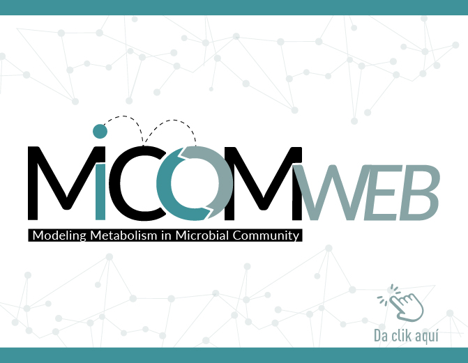 Proyecto MICOM