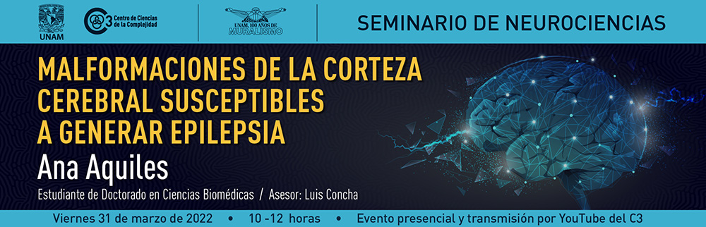 Seminario de neurociencias